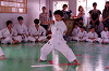 siroj (120)_samu.gif
